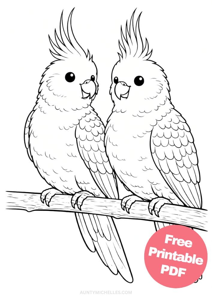 Free Printable Bird Coloring Pages for Kids Animal Activities Colouring Sheets 8 cockatiel