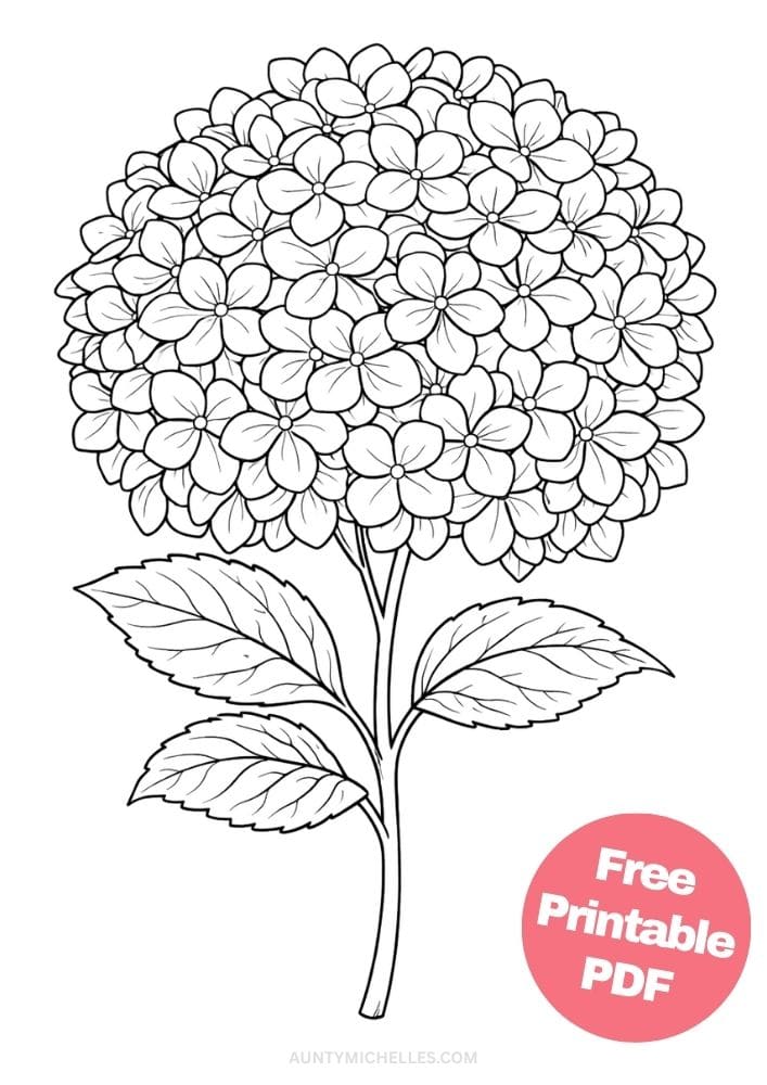 Free Printable Flower Coloring Pages for Kids Floral Coloring Book Garden Printout Sheets 10 hydrangea realistic