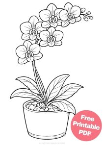 Free Printable Flower Coloring Pages for Kids - Aunty Michelle's