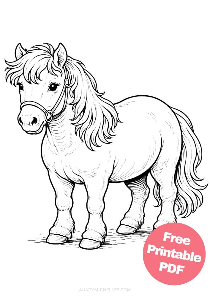 Free Printable Horse Coloring Pages for Kids Pony Coloring Book Printout Sheets 19 realisitc shetland pony