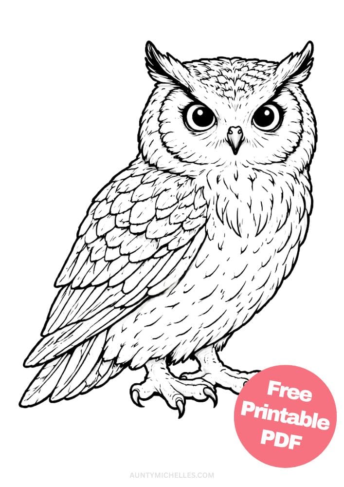Free Printable Owl Coloring Pages for Kids Bird Colouring Page Animal Printout Sheet 15 realistic