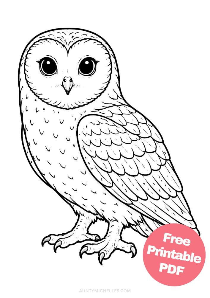 Free Printable Owl Coloring Pages for Kids Bird Colouring Page Animal Printout Sheet 16 realistic barn owl