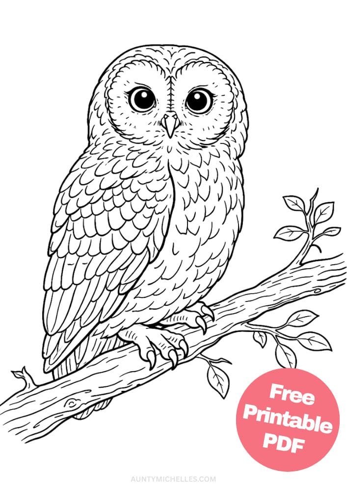 Free Printable Owl Coloring Pages for Kids Bird Colouring Page Animal Printout Sheet 17 realistic tawny owl