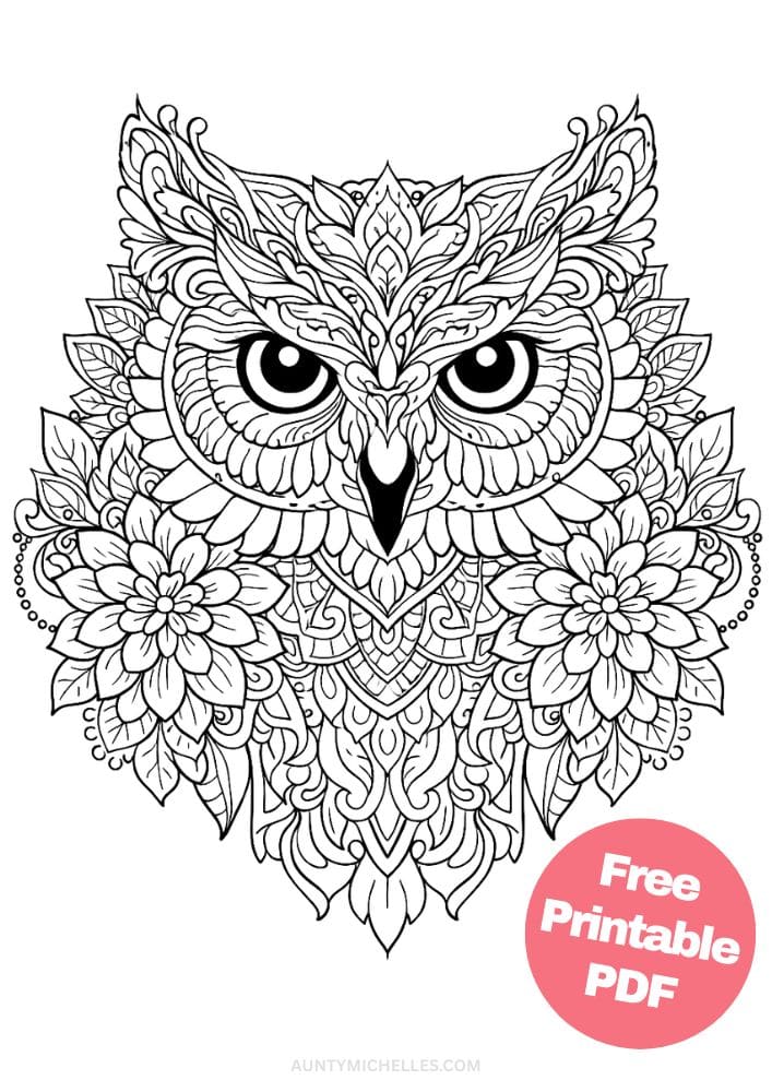 Free Printable Owl Coloring Pages for Kids Bird Colouring Page Animal Printout Sheet 18 mandala head