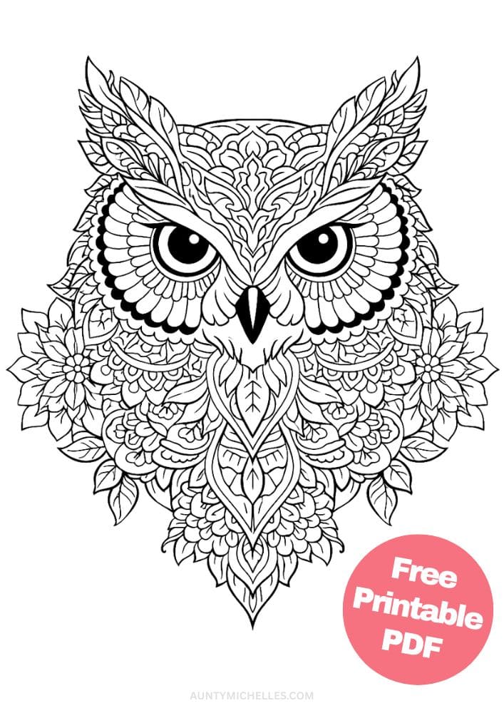 Free Printable Owl Coloring Pages for Kids Bird Colouring Page Animal Printout Sheet 19 mandala head