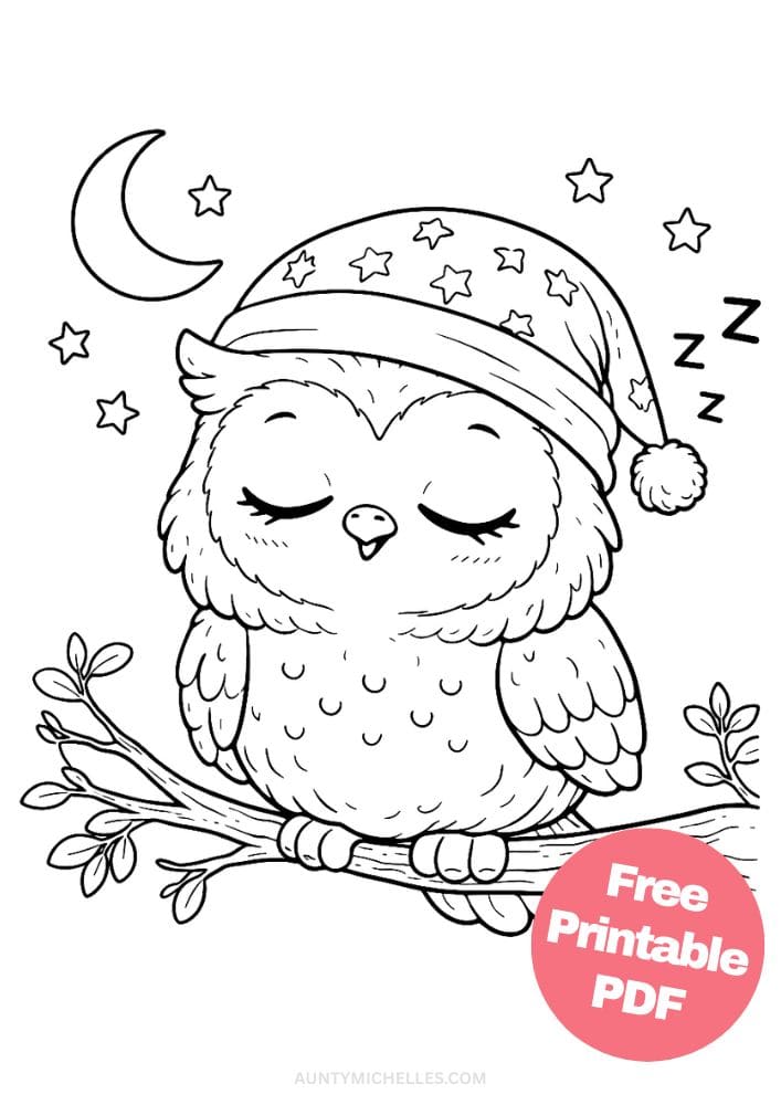 Free Printable Owl Coloring Pages for Kids Bird Colouring Page Animal Printout Sheet 2 sleep night