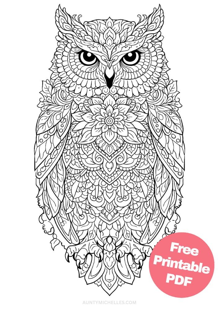 Free Printable Owl Coloring Pages for Kids Bird Colouring Page Animal Printout Sheet 20 mandala body