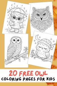 Free Printable Owl Coloring Pages for Kids, Bird Colouring Page, Animal Printout Sheet, Owl Activities for Kids, Adult Coloring Pages, mandala, cartoon, realistic, tawny owl, barn owl