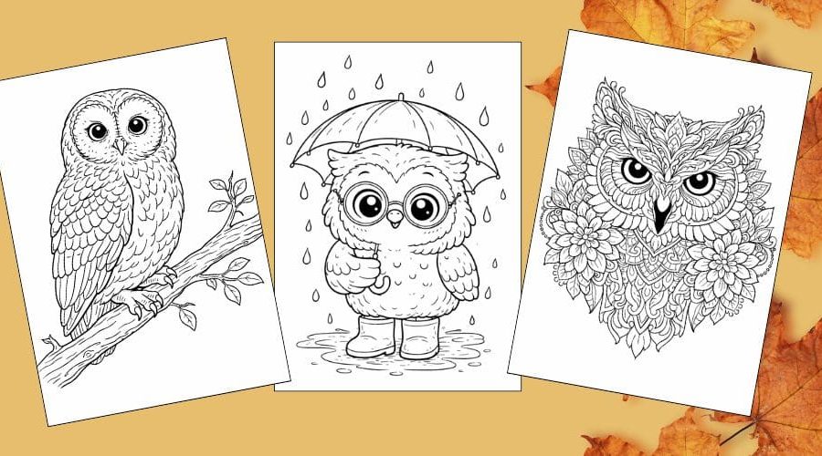 Free Printable Owl Coloring Pages for Kids