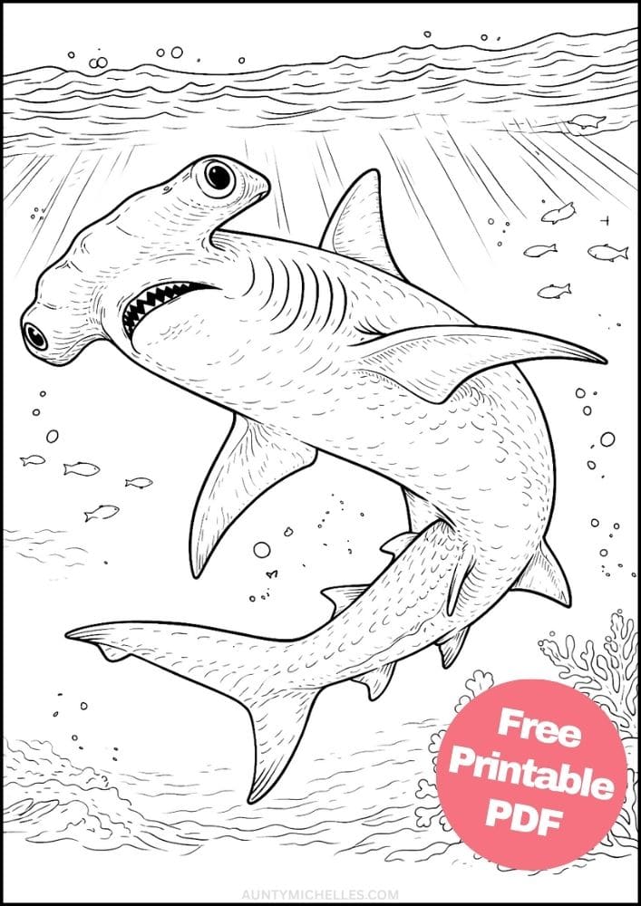 Free Printable Shark Coloring Pages for Kids Ocean Animal Activities Colouring Sheets 1 hammerhead shark