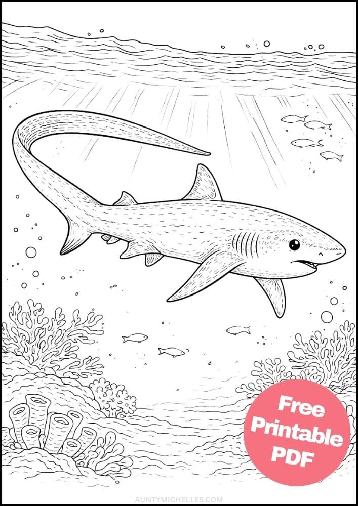 Free Printable Shark Coloring Pages for Kids Ocean Animal Activities Colouring Sheets 3 thresher shark