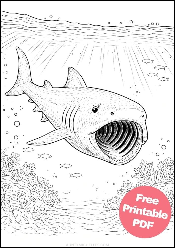 Free Printable Shark Coloring Pages for Kids Ocean Animal Activities Colouring Sheets 6 basking shark