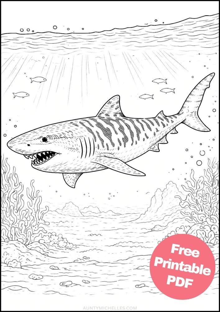 Free Printable Shark Coloring Pages for Kids Ocean Animal Activities Colouring Sheets 8 tiger shark