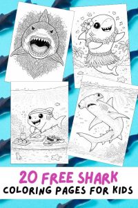 Free Printable Shark Coloring Pages for Kids, Ocean Animal Activities, Shark Colouring Sheets, Hammerhead, Great White Shark, Whale Shark, Realistic Shark, Funny Shark, Cartoon Shark, Sushi, pirate, surfer, hula dancer