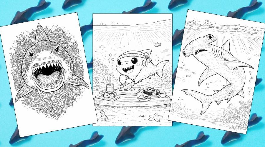 Free Printable Shark Coloring Pages for Kids Ocean Animal Activities Colouring Sheets