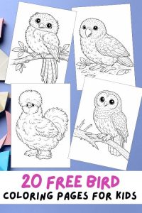 Free Printable Bird Coloring Pages for Kids, Animal Activities, Birds Colouring Sheets, Owl, Falcon, Parrot, Flamingo, Silkie Chicken, Toucan, Duck, Hummingbird, Love Birds