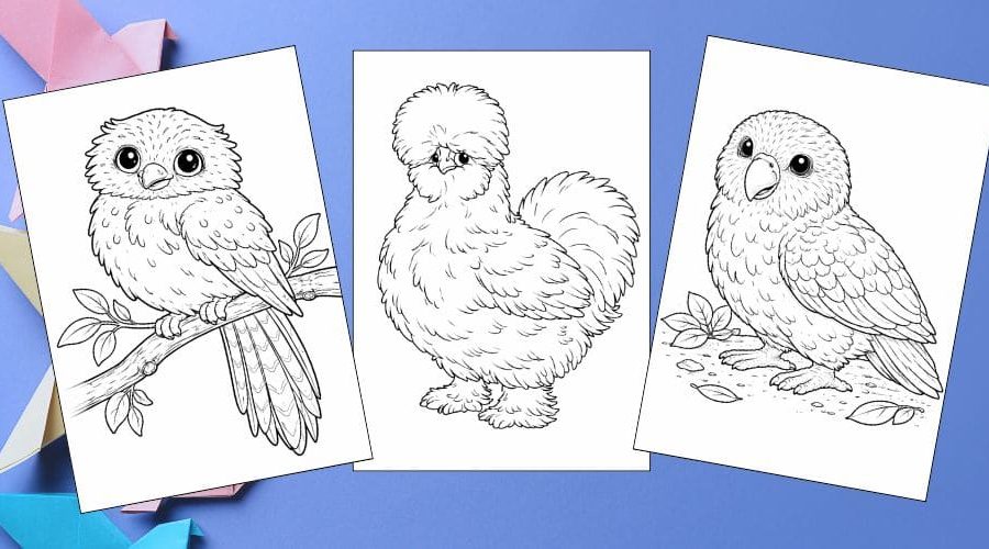 Free Printable Bird Coloring Pages for Kids Animal Activities Colouring Sheets