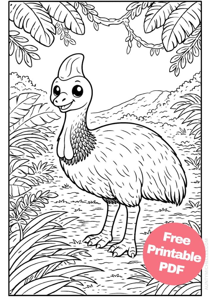 Free Printable Rainforest Coloring Pages for Kids Animal Nature Activities Colouring Sheets 11 cassowary