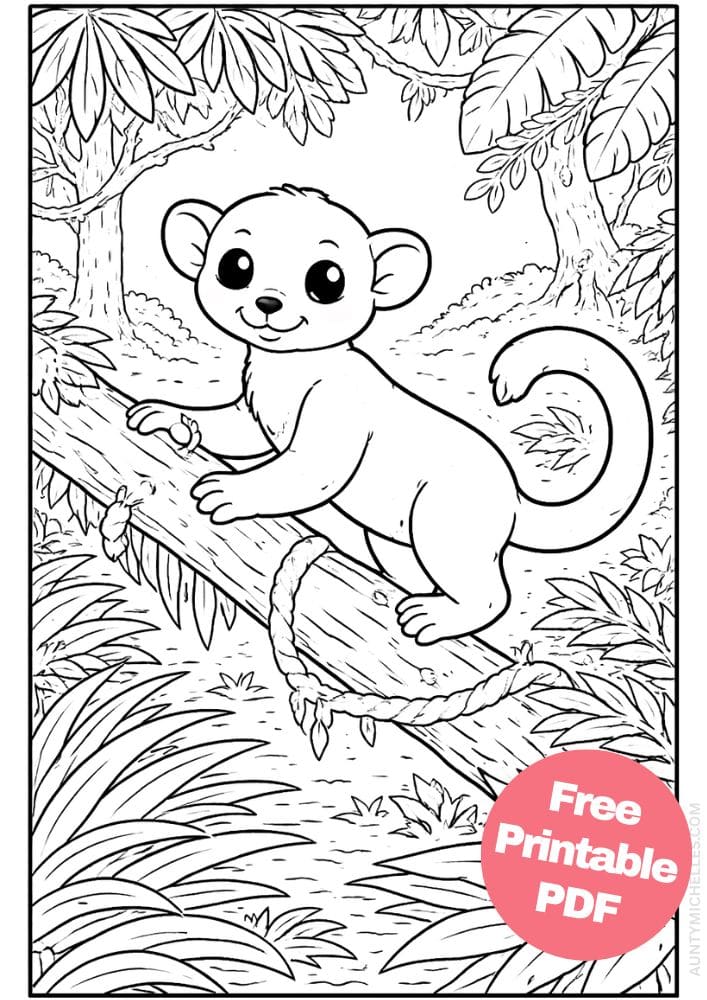 Free Printable Rainforest Coloring Pages for Kids Animal Nature Activities Colouring Sheets 14 kinkajou