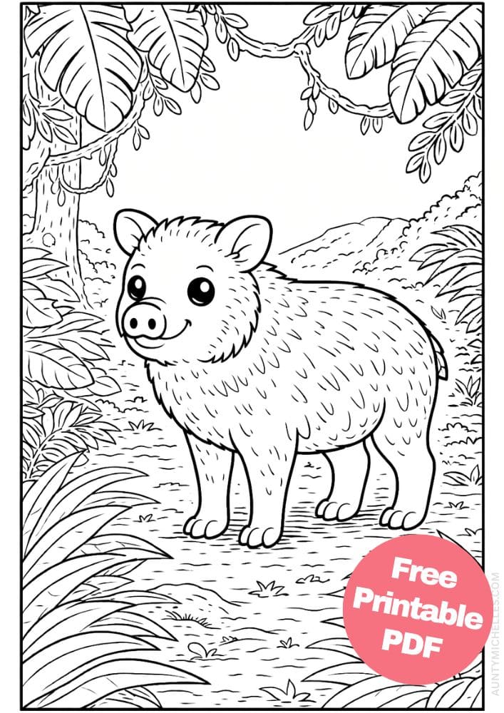 Free Printable Rainforest Coloring Pages for Kids Animal Nature Activities Colouring Sheets 15 peccary
