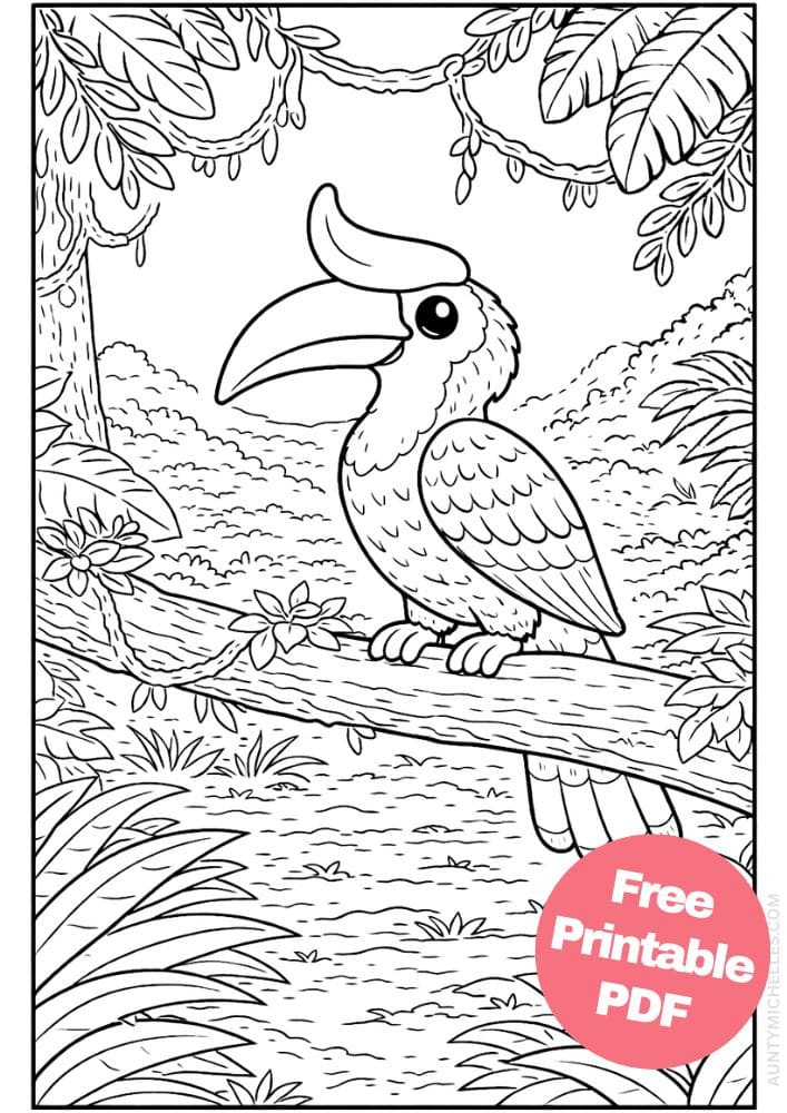 Free Printable Rainforest Coloring Pages for Kids Animal Nature Activities Colouring Sheets 16 hornbill