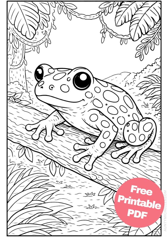 Free Printable Rainforest Coloring Pages for Kids Animal Nature Activities Colouring Sheets 18 poison frog