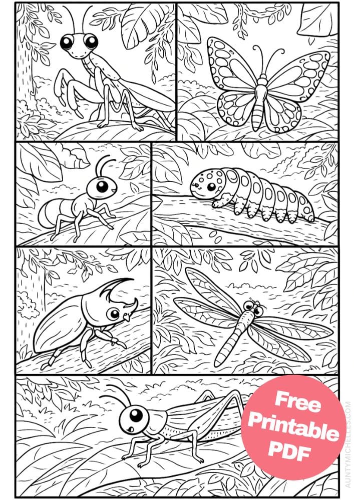 Free Printable Rainforest Coloring Pages for Kids Animal Nature Activities Colouring Sheets 19 insects