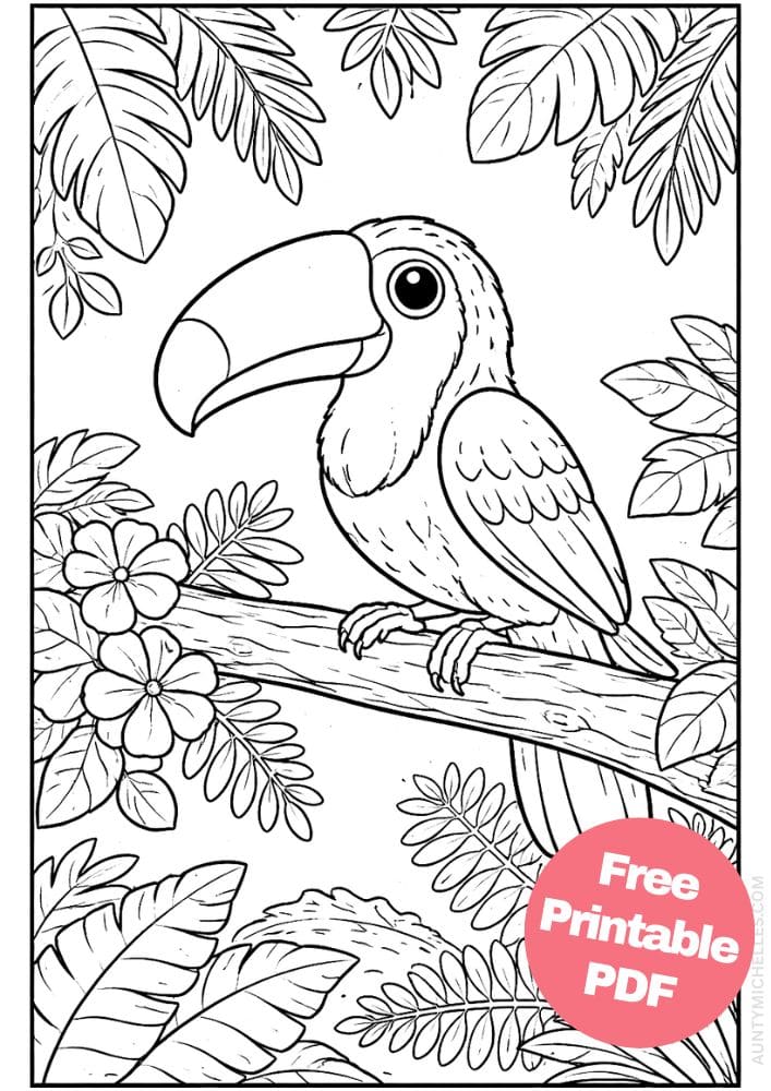 Free Printable Rainforest Coloring Pages for Kids Animal Nature Activities Colouring Sheets 4 Toucan