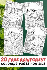 Free Printable Rainforest Coloring Pages for Kids, Rainforest Animal Activities, Nature Colouring Sheets, Jungle Printable PDF, Sloth, Gorilla, Lemur, Tapir, Toucan, Frog, Armadillo, Capybara, Ocelot, Jaguar