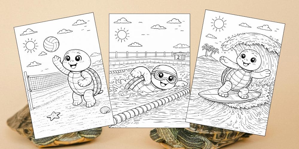 Free Printable Turtle Coloring Pages for Kids Animal Activities Colouring Sheets blog feature